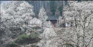 居士供养寺院的米面等食物，寺